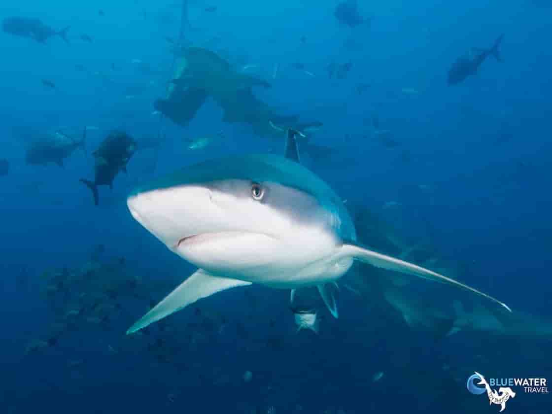 Thumbnail 5 Thumbnail 5