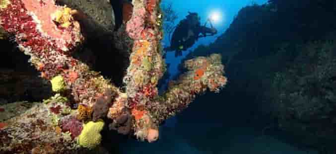 Thumbnail 1 Thumbnail 1