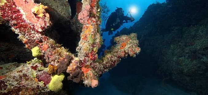 Best Scuba Diving in Turks and Caicos - image Best Scuba Diving in Turks and Caicos - image