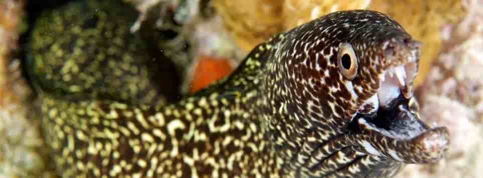 Thumbnail 3 Thumbnail 3