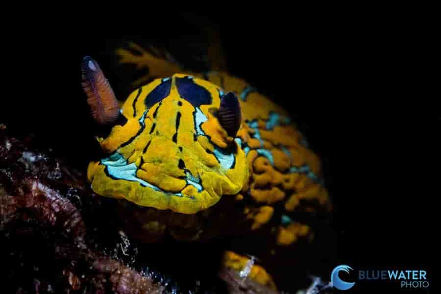 Thumbnail 6 Thumbnail 6