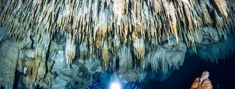 Thumbnail 3 Thumbnail 3