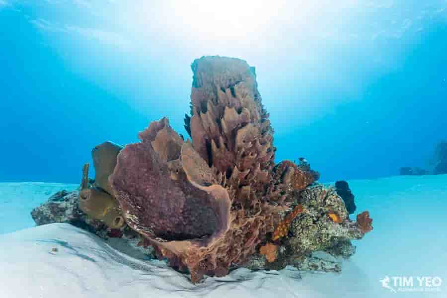 Thumbnail 2 Thumbnail 2