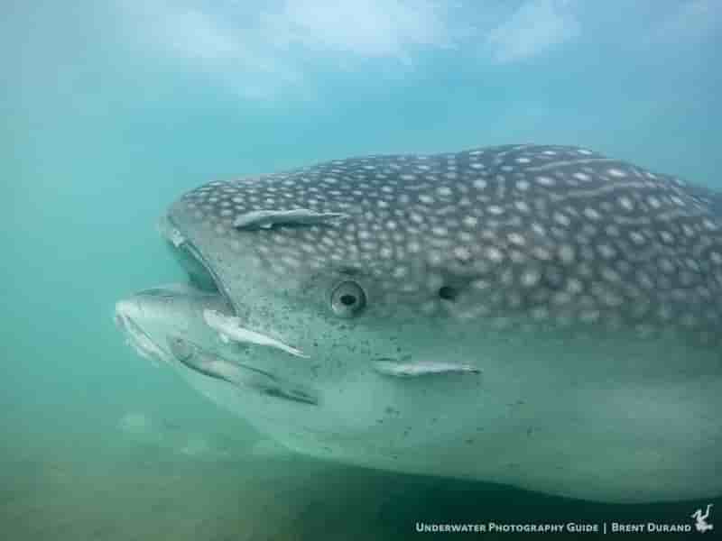 Thumbnail 1 Thumbnail 1