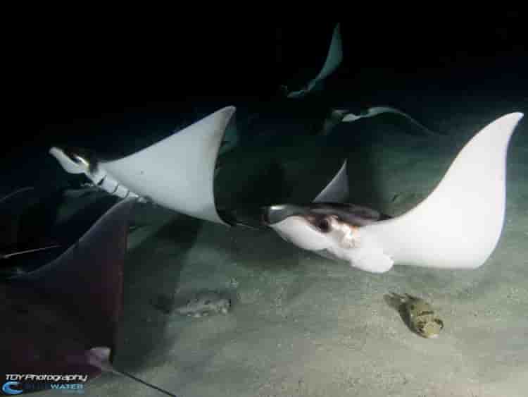 Thumbnail 7 Thumbnail 7