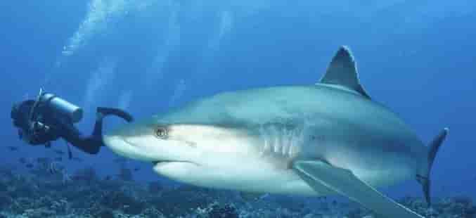 Thumbnail 4 Thumbnail 4