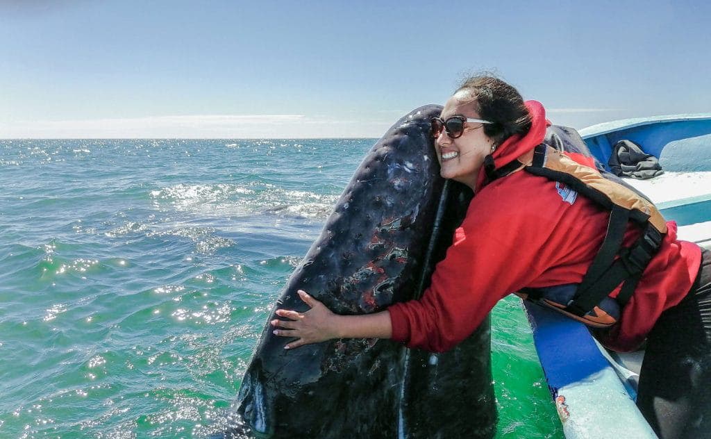 Best Scuba Diving in San Ignacio Gray Whale - image Best Scuba Diving in San Ignacio Gray Whale - image