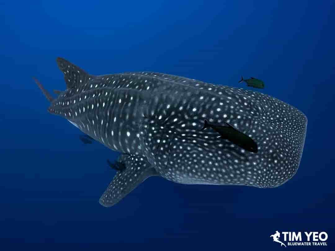 Thumbnail 2 Thumbnail 2