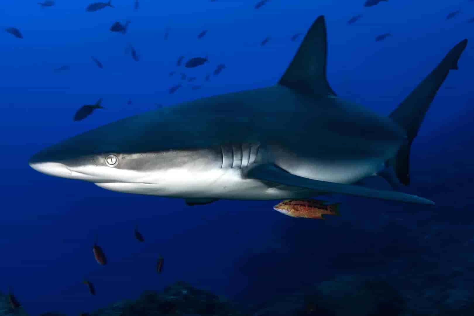 Thumbnail 5 Thumbnail 5