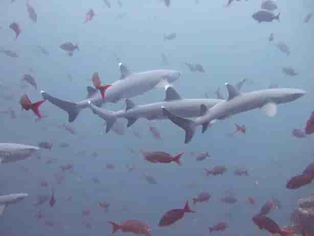 Thumbnail 4 Thumbnail 4