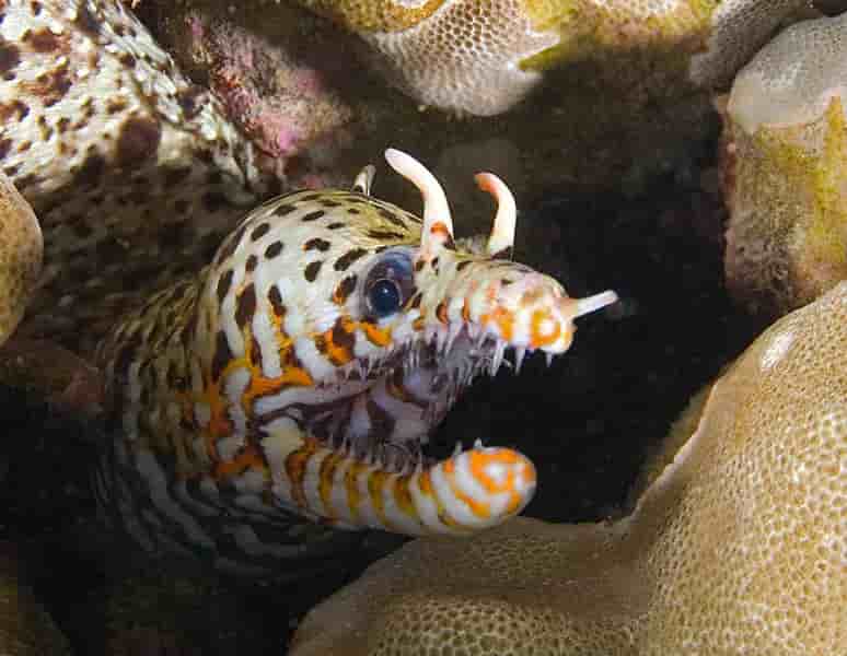 Thumbnail 3 Thumbnail 3