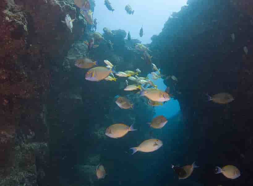 Thumbnail 5 Thumbnail 5