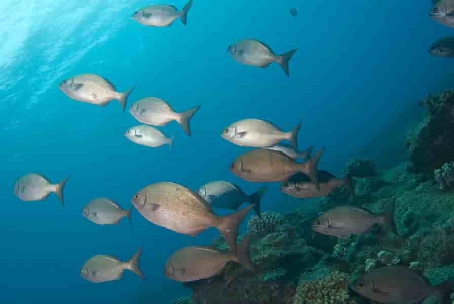 Thumbnail 6 Thumbnail 6