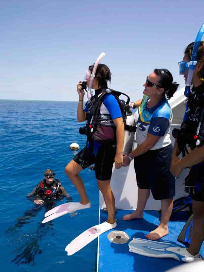 Thumbnail 1 Thumbnail 1