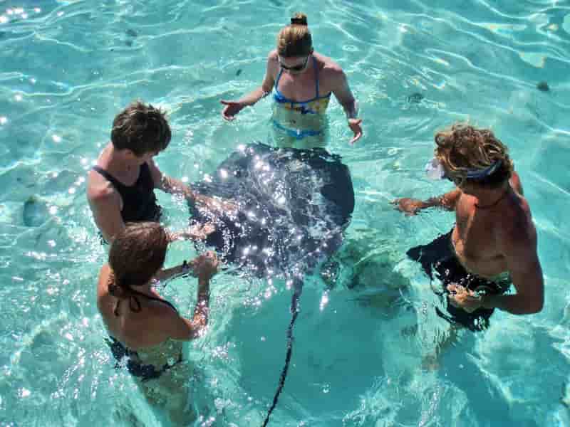 Thumbnail 2 Thumbnail 2