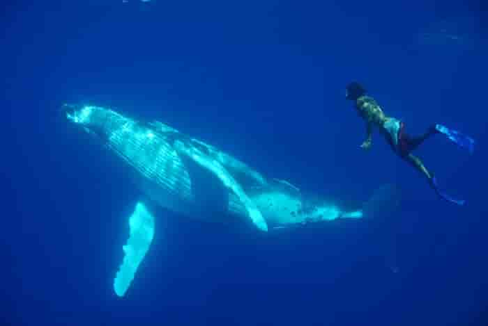 Thumbnail 3 Thumbnail 3