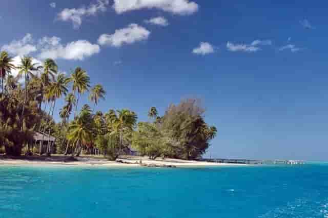 Thumbnail 4 Thumbnail 4