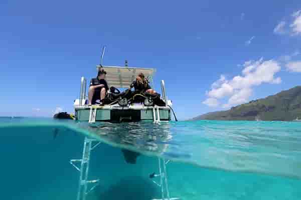 Thumbnail 1 Thumbnail 1