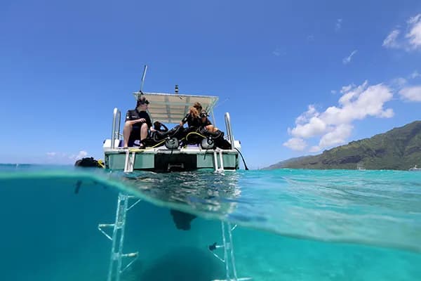Scubapiti Diving Center - image Scubapiti Diving Center - image