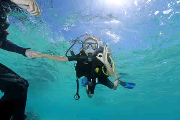 Thumbnail 2 Thumbnail 2