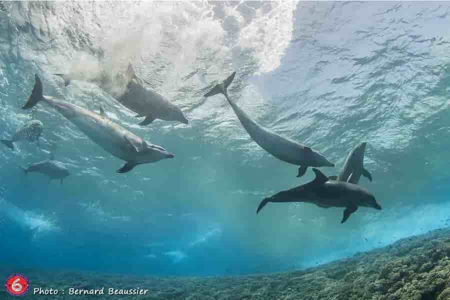 Thumbnail 8 Thumbnail 8