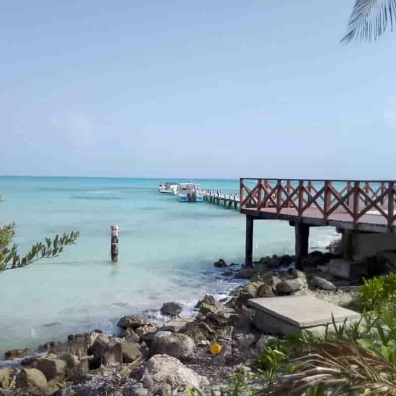 Thumbnail 2 Thumbnail 2