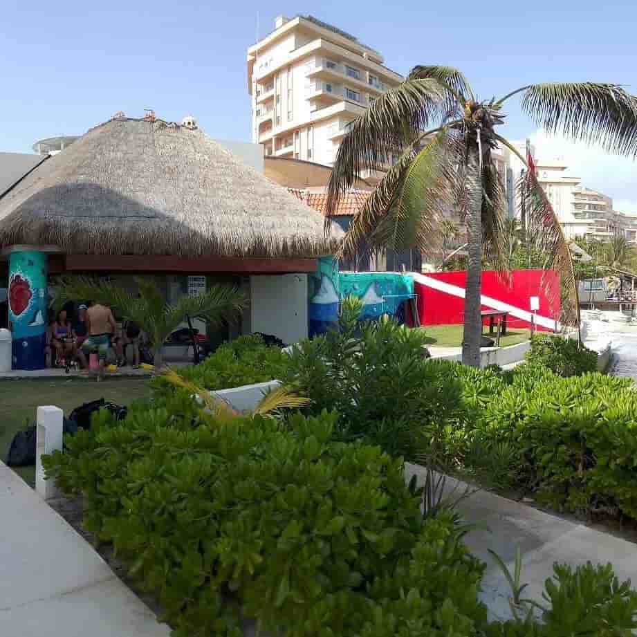 Thumbnail 4 Thumbnail 4