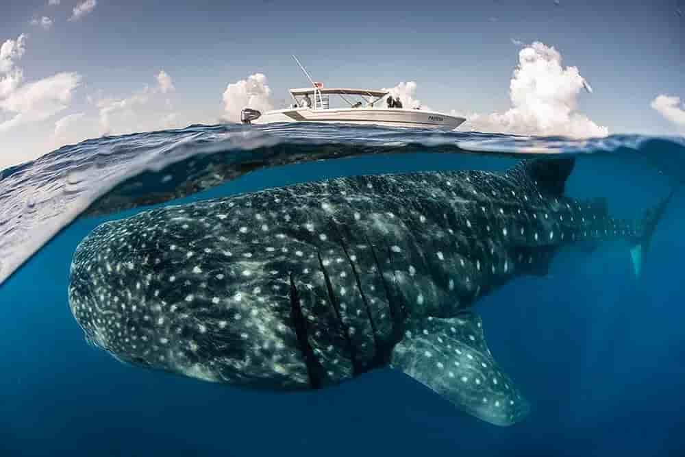 Thumbnail 6 Thumbnail 6