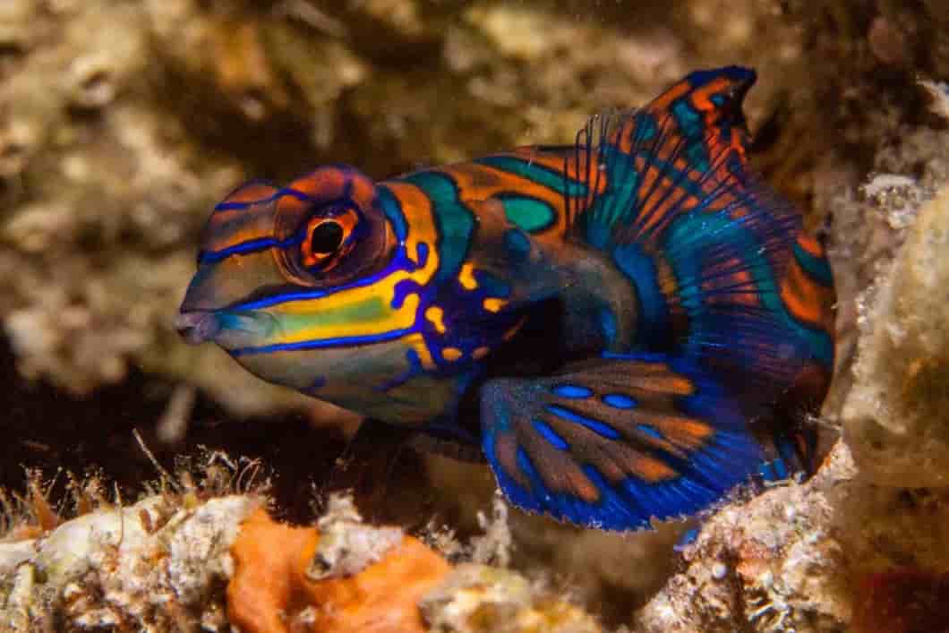 Thumbnail 2 Thumbnail 2