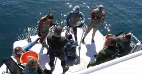 Thumbnail 1 Thumbnail 1