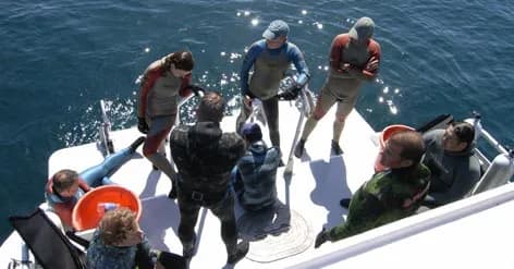 Waterhorse Charters San Diego - image Waterhorse Charters San Diego - image