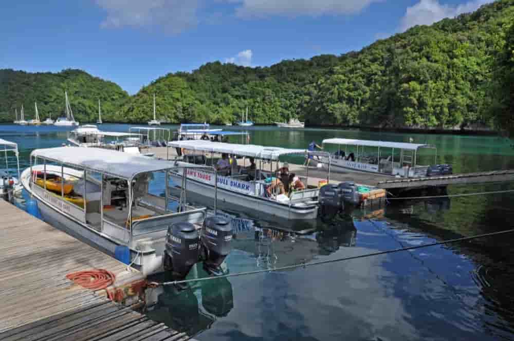 Thumbnail 2 Thumbnail 2