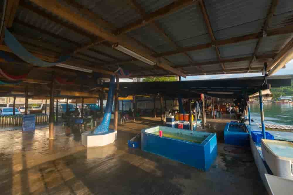 Thumbnail 4 Thumbnail 4