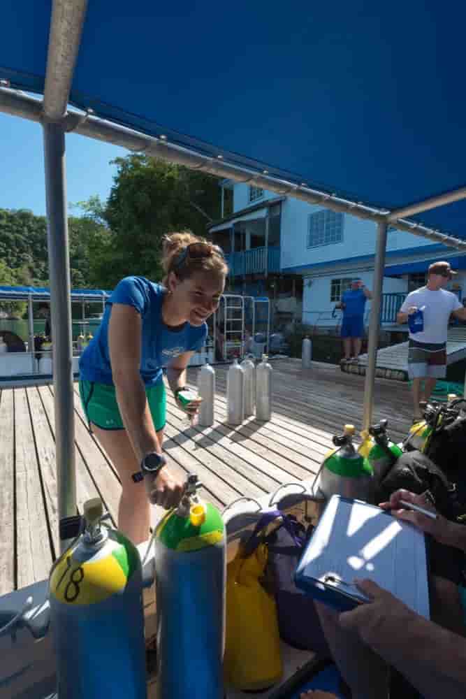 Thumbnail 5 Thumbnail 5