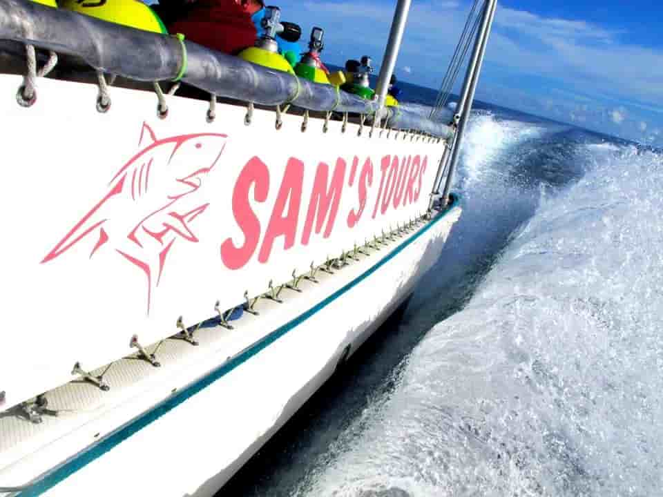 Thumbnail 7 Thumbnail 7