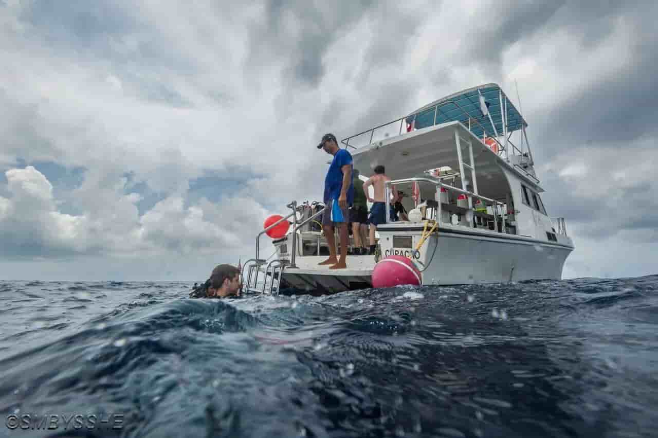 Thumbnail 7 Thumbnail 7