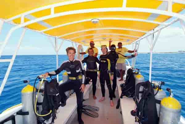 Thumbnail 3 Thumbnail 3