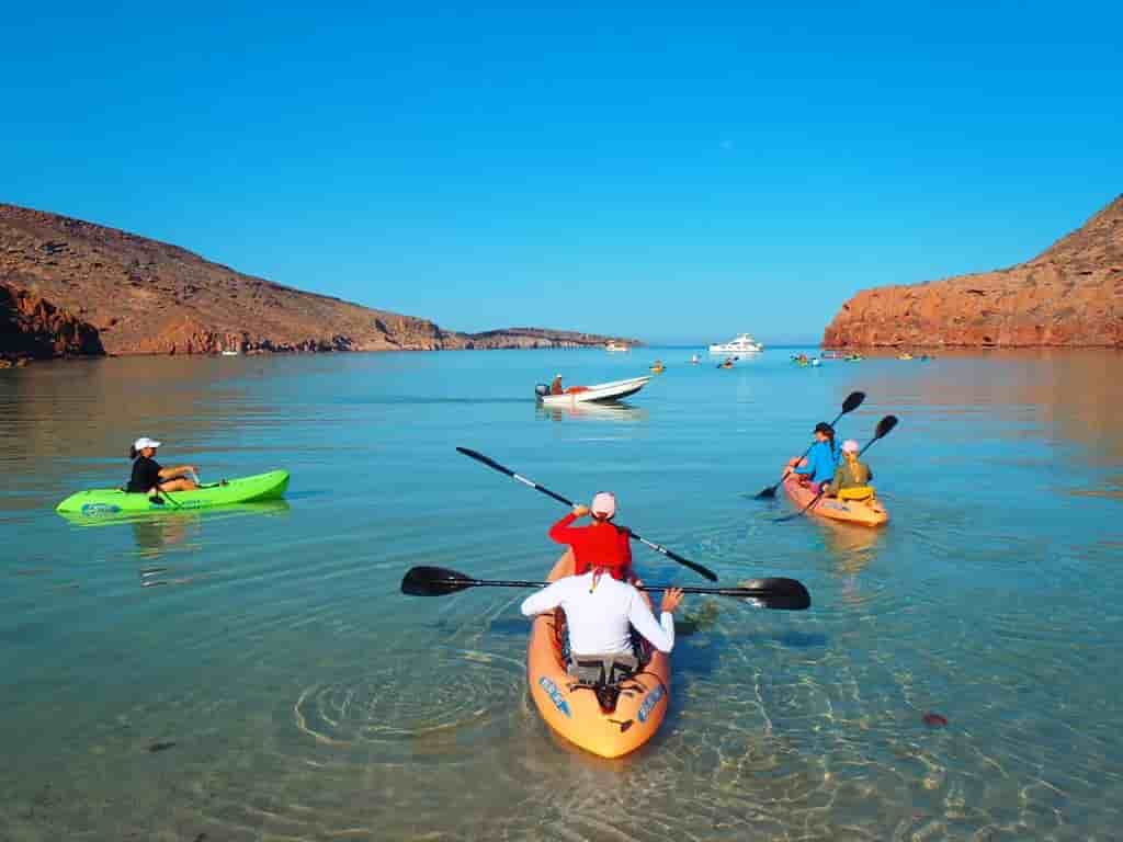 Thumbnail 4 Thumbnail 4