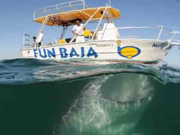 Thumbnail 5 Thumbnail 5