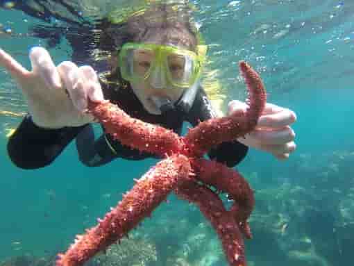 Thumbnail 6 Thumbnail 6