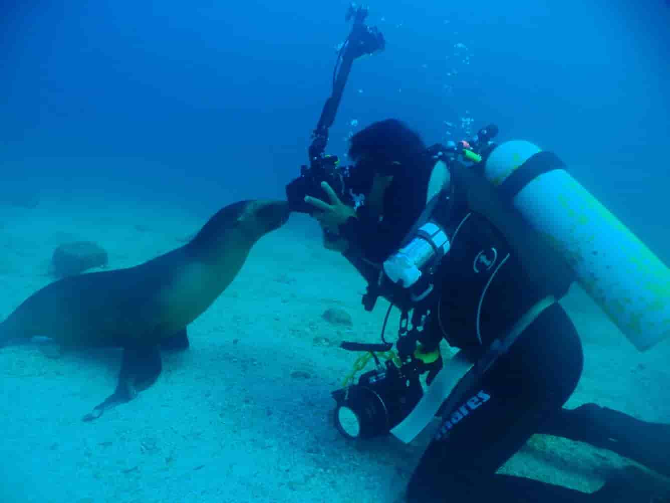 Thumbnail 8 Thumbnail 8