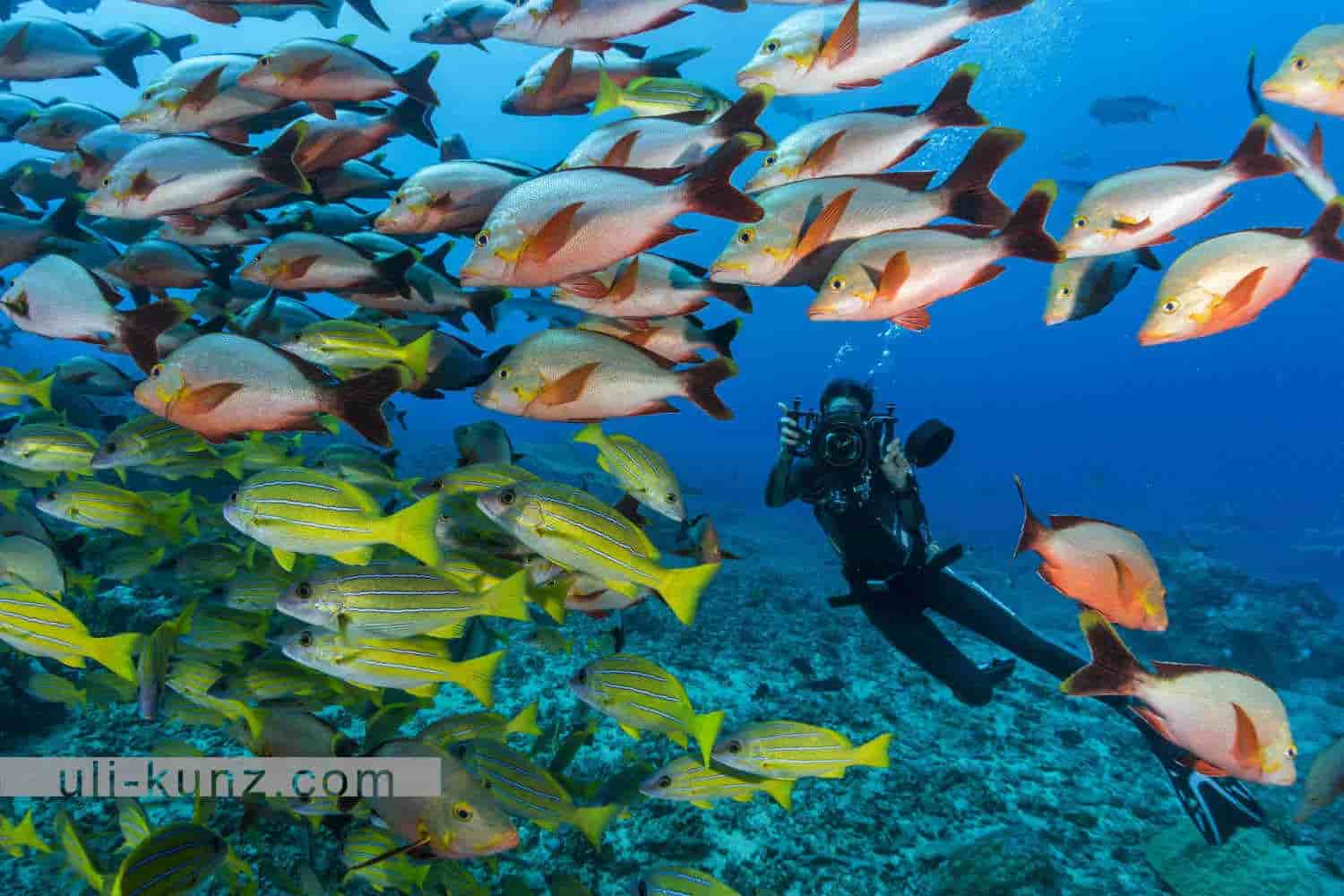 Thumbnail 1 Thumbnail 1