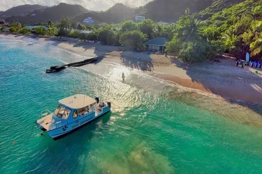 Dive Grenada - image Dive Grenada - image