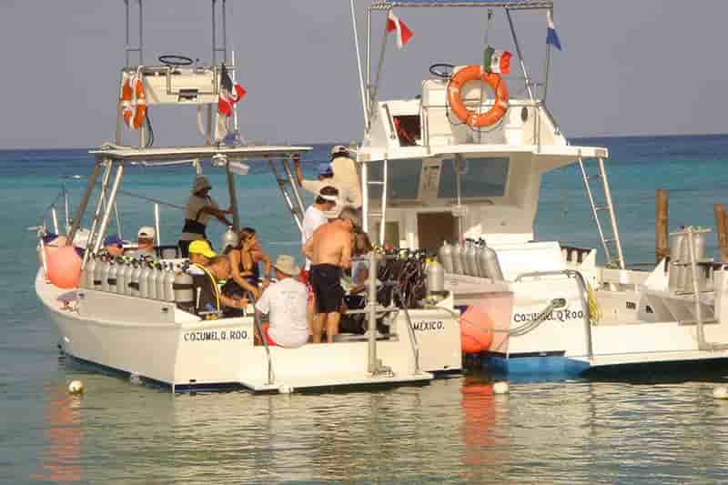 Thumbnail 3 Thumbnail 3