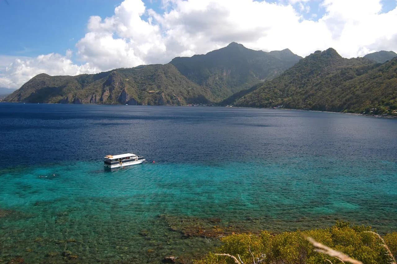 Dive Dominica - image Dive Dominica - image