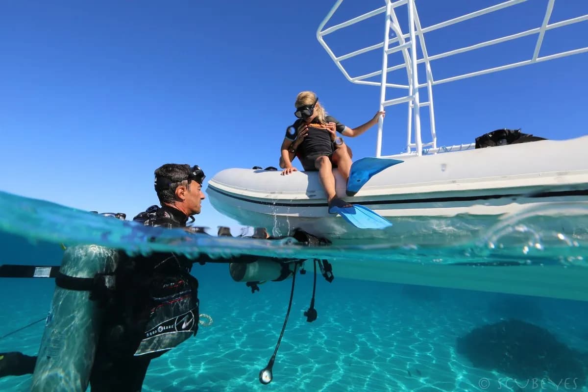 Eleuthera Dive Tahiti - image Eleuthera Dive Tahiti - image