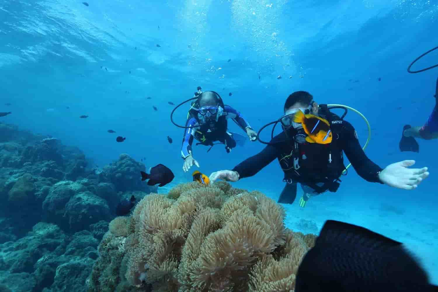 Thumbnail 7 Thumbnail 7