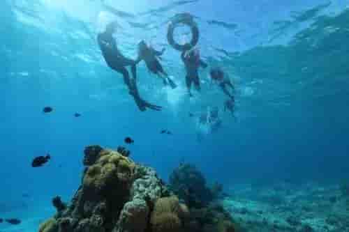 Thumbnail 9 Thumbnail 9