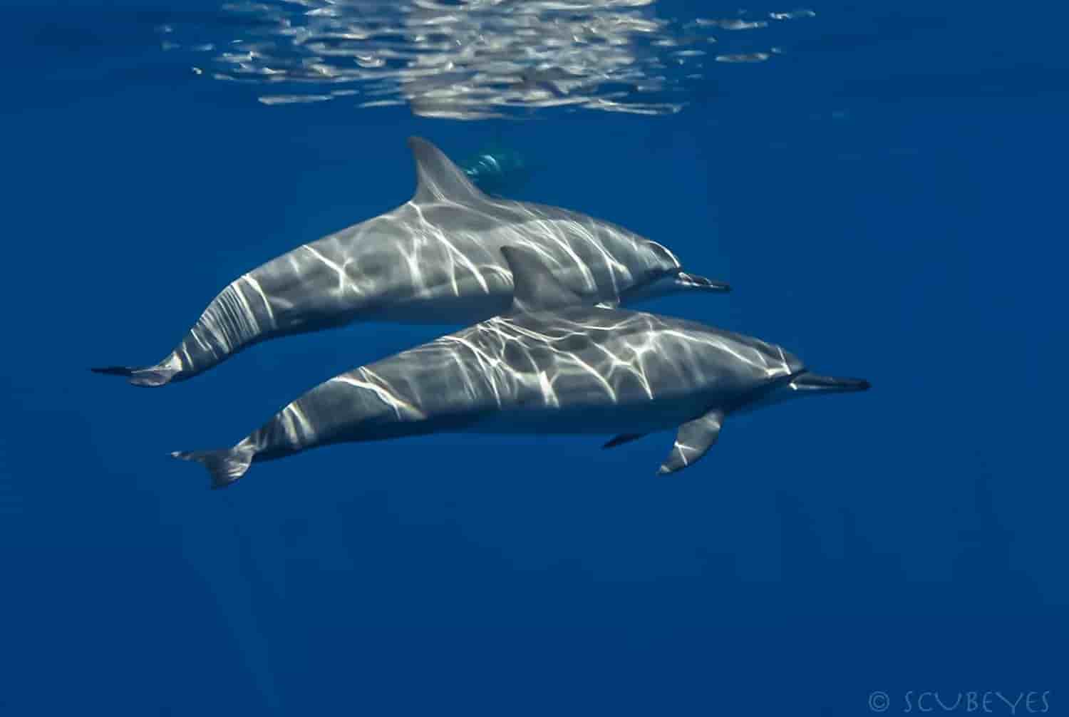 Thumbnail 11 Thumbnail 11