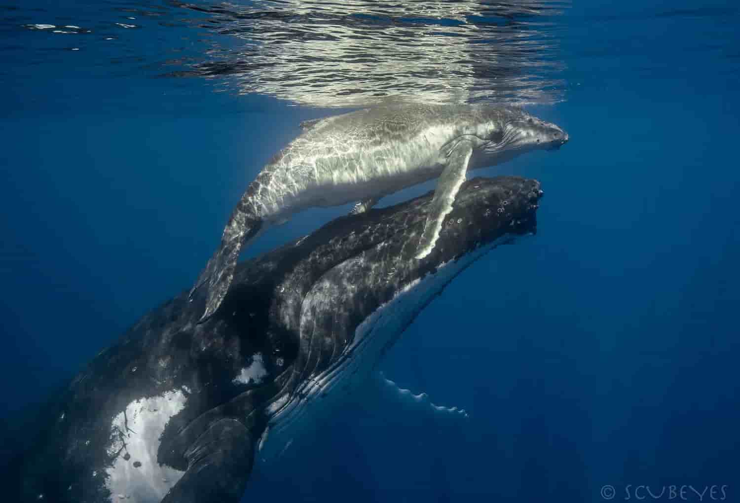 Thumbnail 24 Thumbnail 24